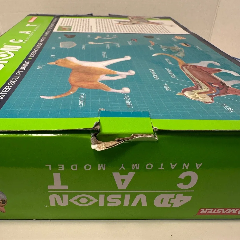 4D Master Vision Cat Anatomy Model 28 Parts Complete Open Box w/ Guide STEM
